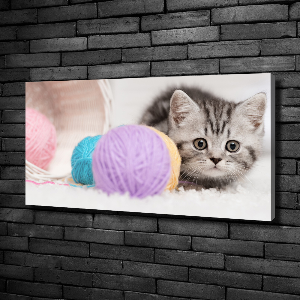 Tableau mural sur toile Chat avec des écheveaux