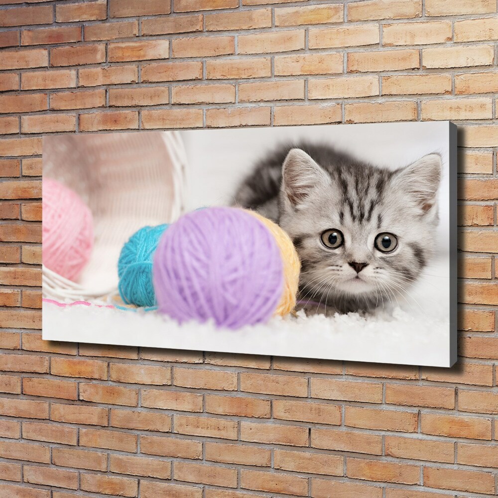 Tableau mural sur toile Chat avec des écheveaux