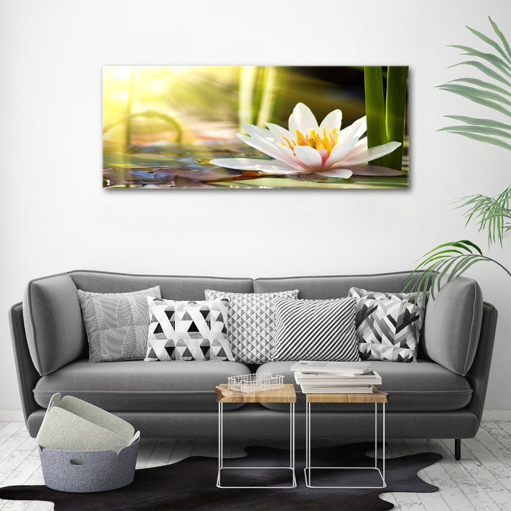 Tableau photo sur toile Nénuphar