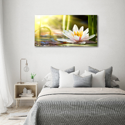 Tableau photo sur toile Nénuphar