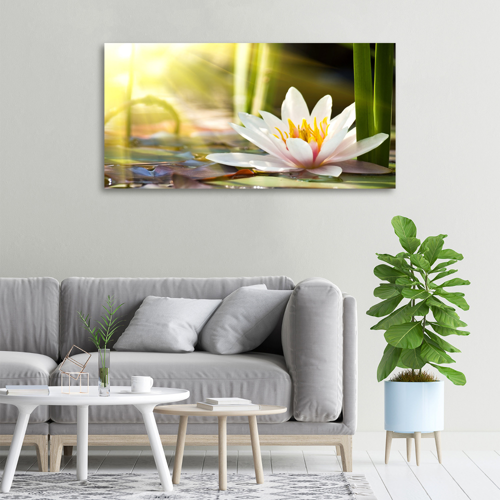 Tableau photo sur toile Nénuphar