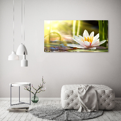 Tableau photo sur toile Nénuphar