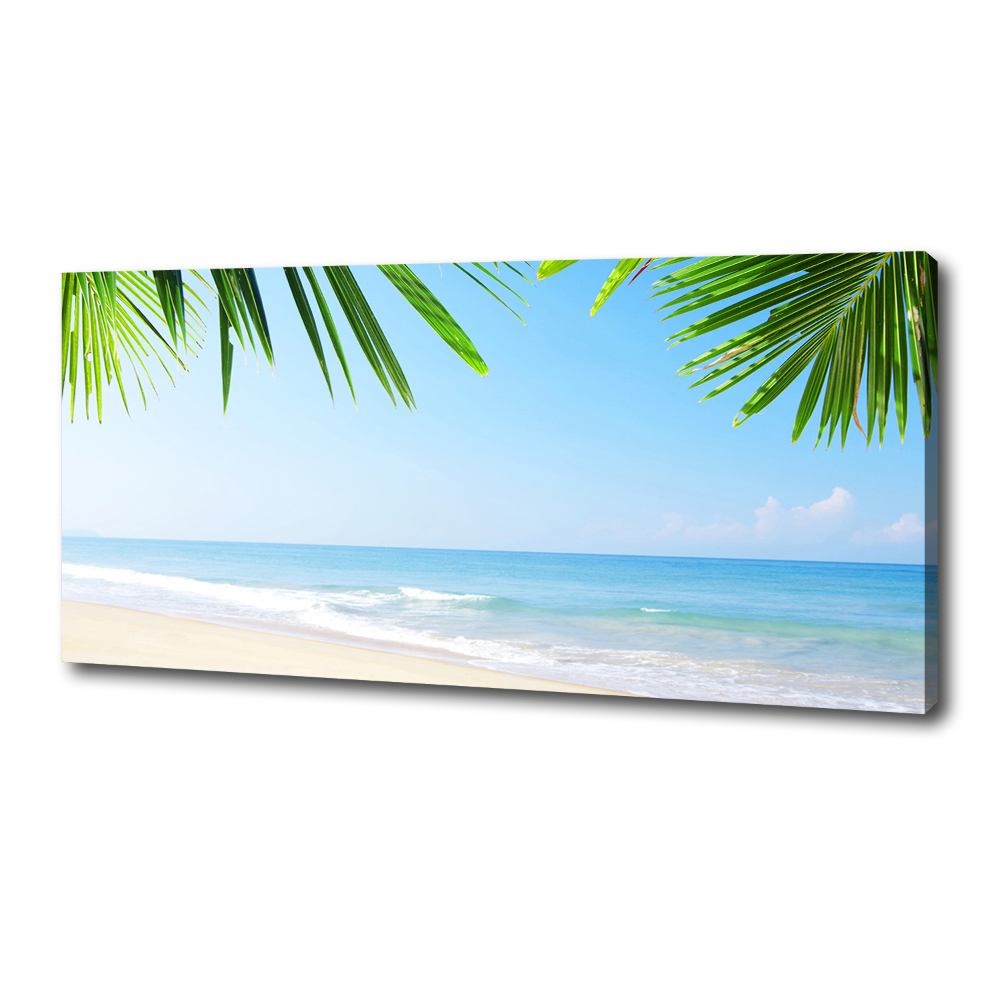 Tableau toile imprimée Plage tropicale palmiers