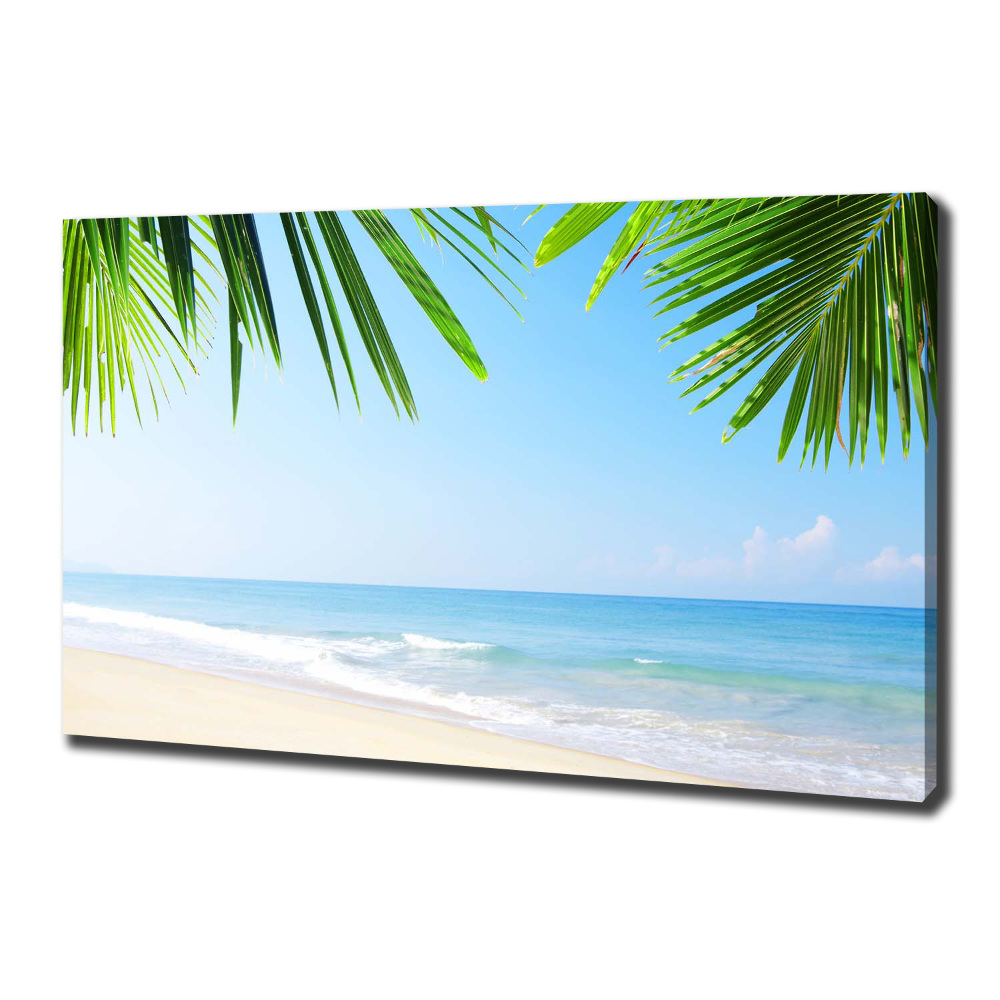 Tableau toile imprimée Plage tropicale palmiers