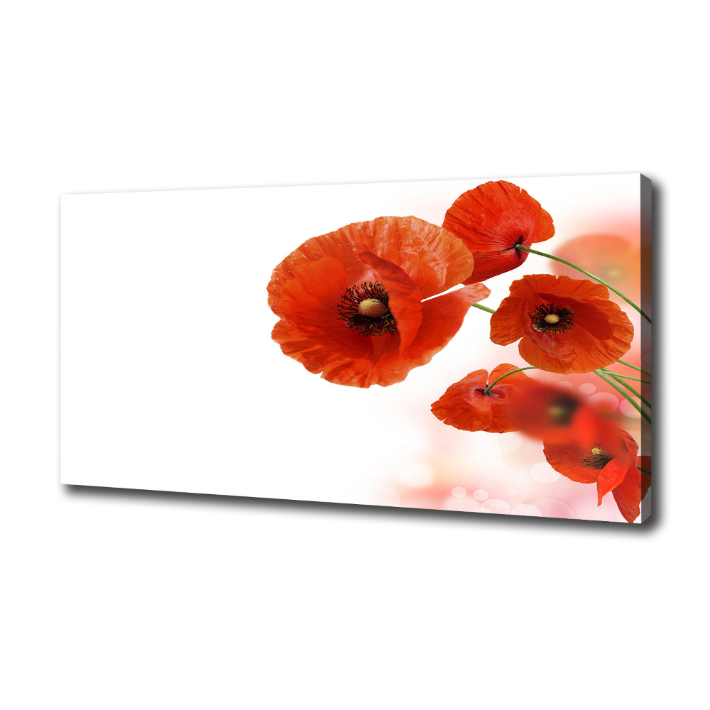 Tableau toile imprimée Coquelicots rouges