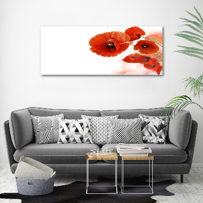 Tableau toile imprimée Coquelicots rouges