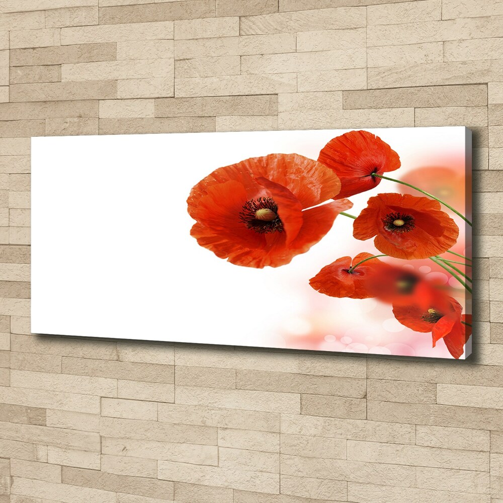 Tableau toile imprimée Coquelicots rouges