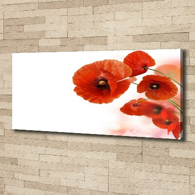 Tableau toile imprimée Coquelicots rouges