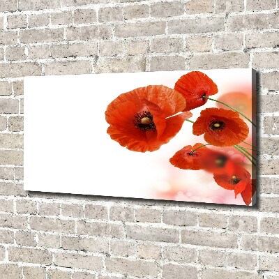 Tableau toile imprimée Coquelicots rouges