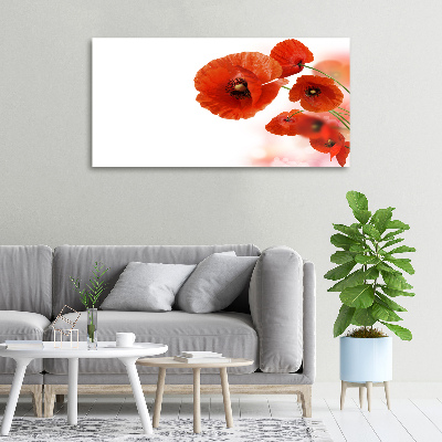 Tableau toile imprimée Coquelicots rouges