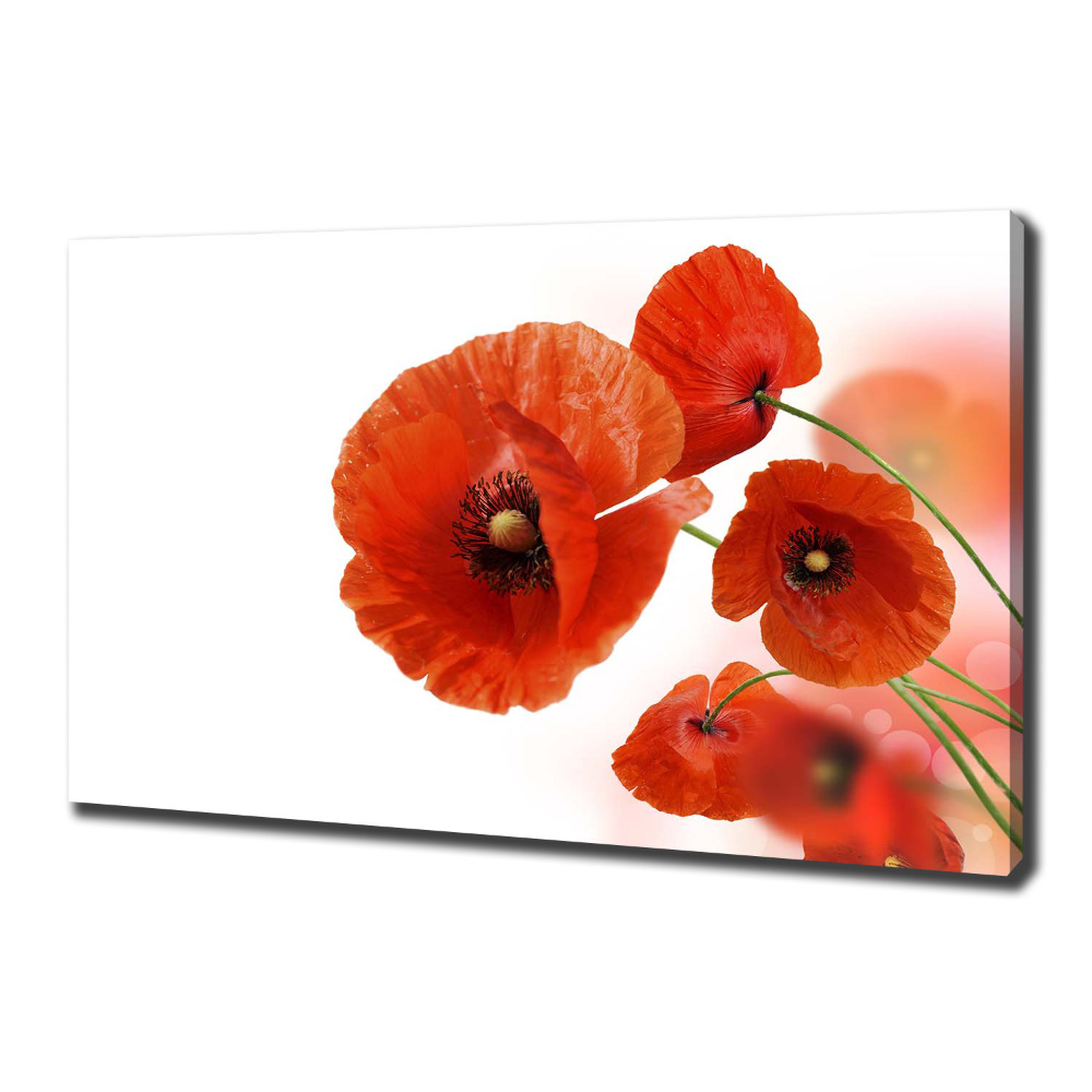 Tableau toile imprimée Coquelicots rouges