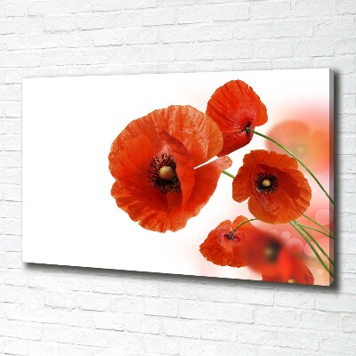 Tableau toile imprimée Coquelicots rouges