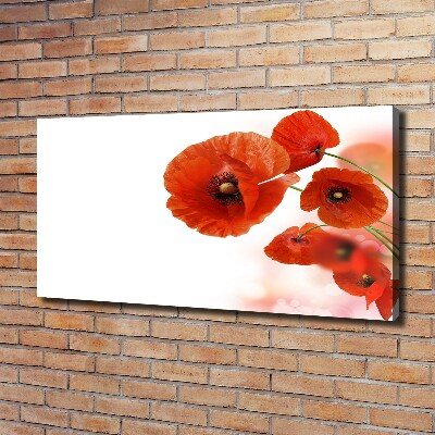 Tableau toile imprimée Coquelicots rouges