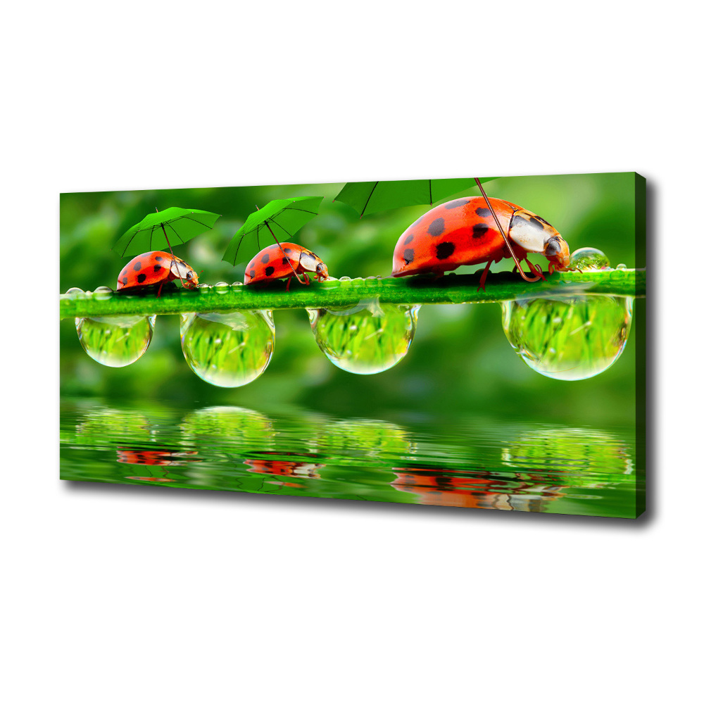 Tableau mural sur toile Coccinelles parapluies