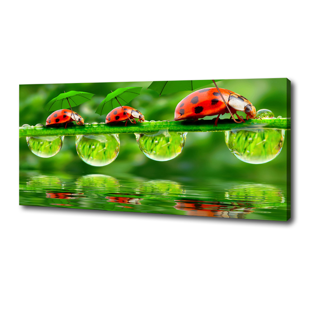 Tableau mural sur toile Coccinelles parapluies