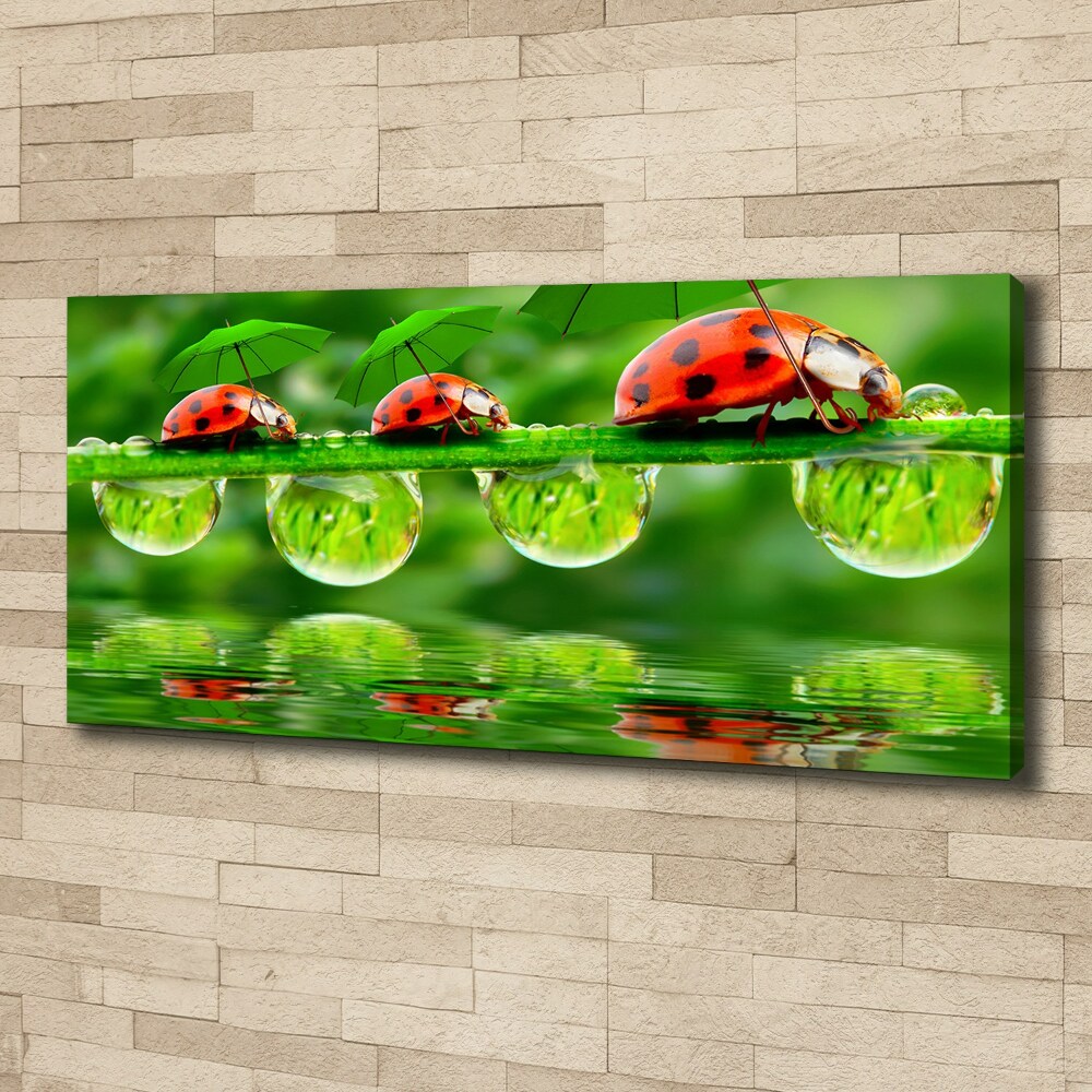 Tableau mural sur toile Coccinelles parapluies