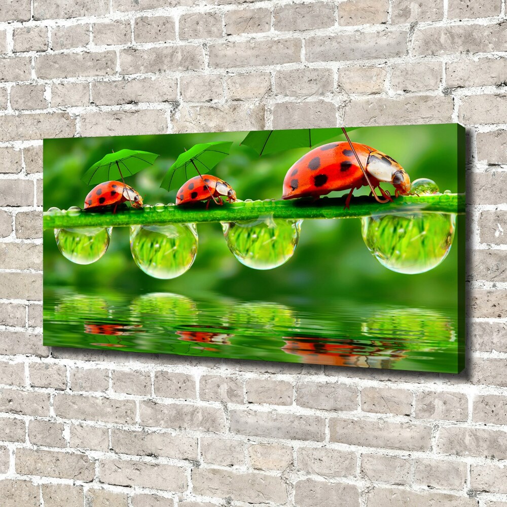 Tableau mural sur toile Coccinelles parapluies