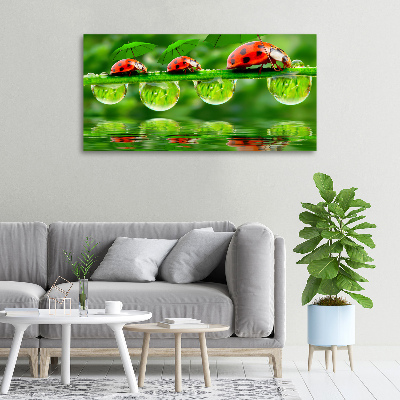 Tableau mural sur toile Coccinelles parapluies