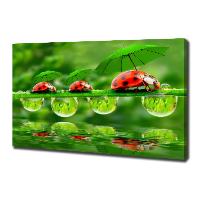 Tableau mural sur toile Coccinelles parapluies