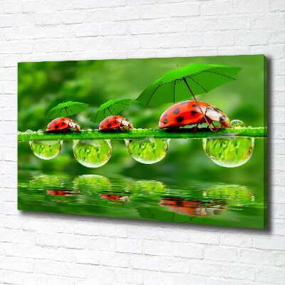 Tableau mural sur toile Coccinelles parapluies