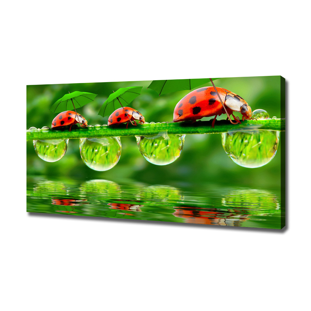 Tableau mural sur toile Coccinelles parapluies