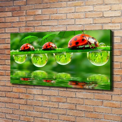 Tableau mural sur toile Coccinelles parapluies