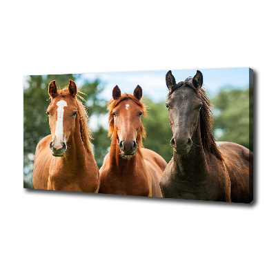 Tableau sur toile Trois chevaux