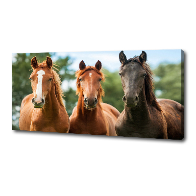 Tableau sur toile Trois chevaux