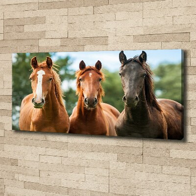 Tableau sur toile Trois chevaux