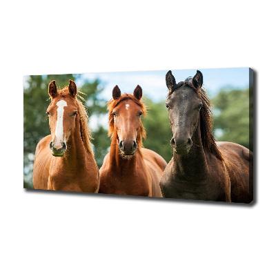 Tableau sur toile Trois chevaux