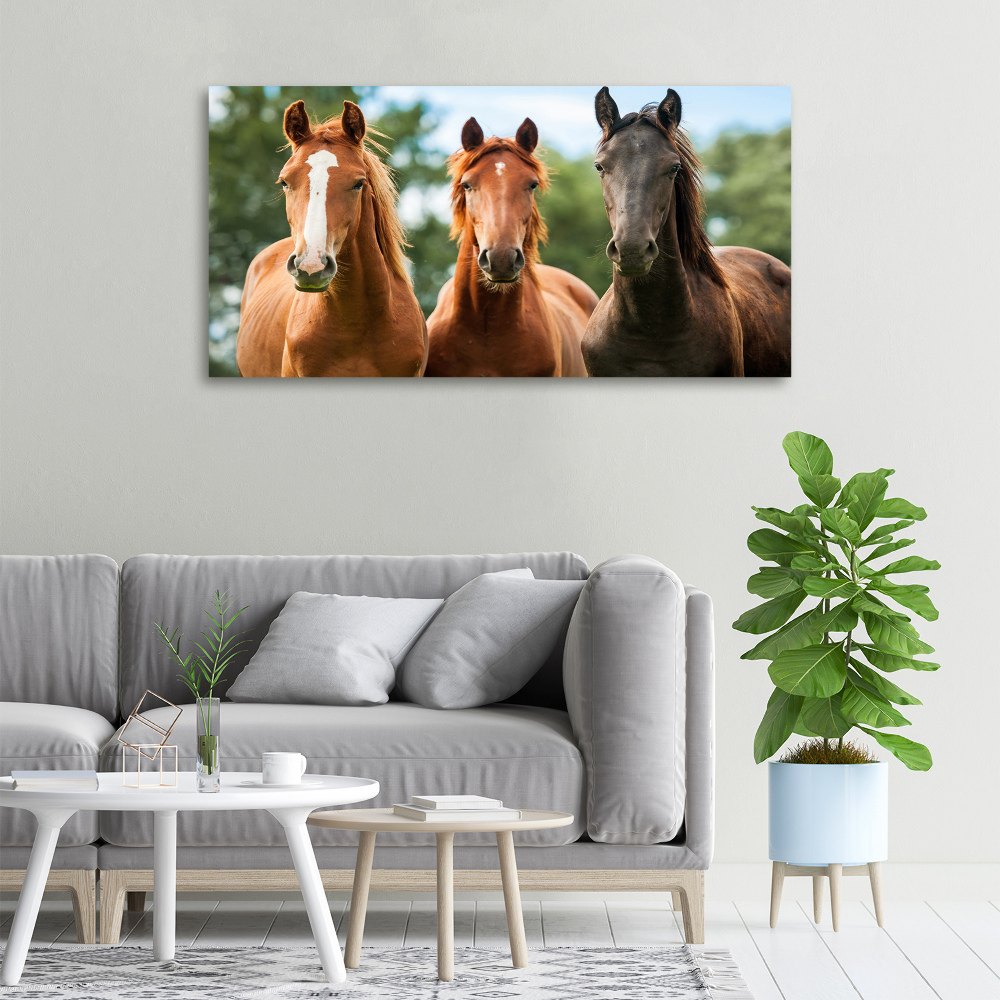 Tableau sur toile Trois chevaux