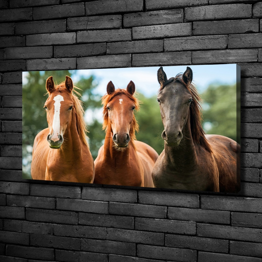 Tableau sur toile Trois chevaux