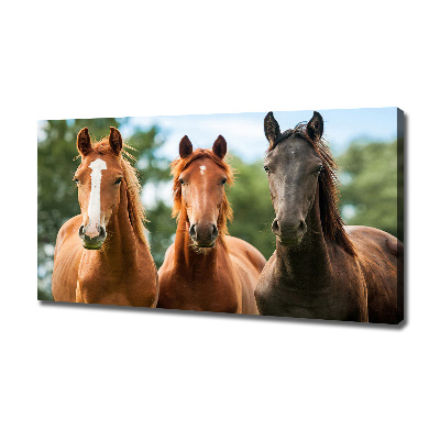 Tableau sur toile Trois chevaux