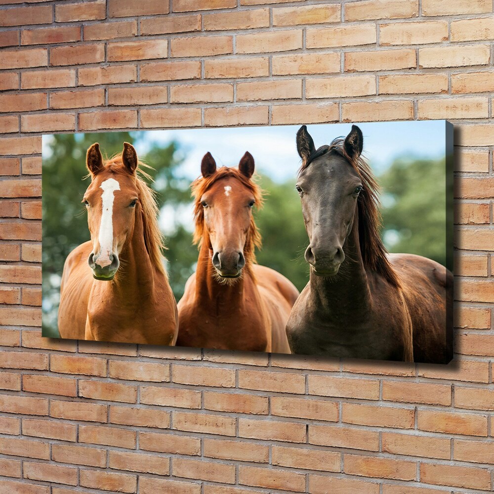 Tableau sur toile Trois chevaux