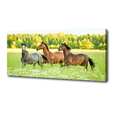 Tableau mural sur toile Chevaux au galop