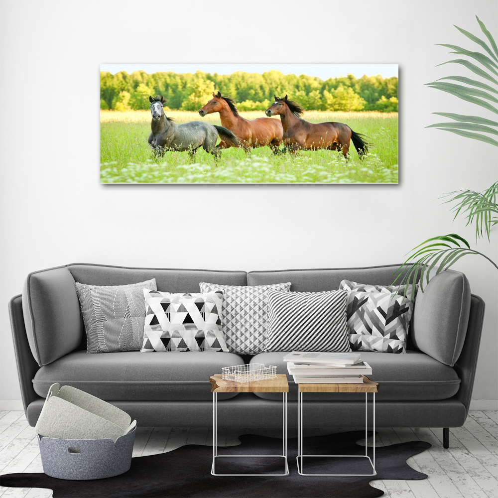 Tableau mural sur toile Chevaux au galop