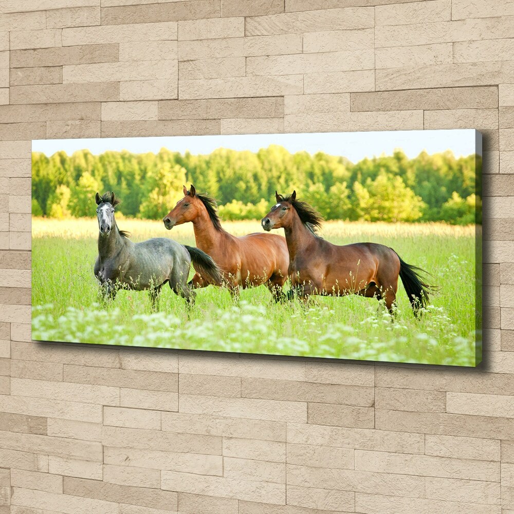 Tableau mural sur toile Chevaux au galop