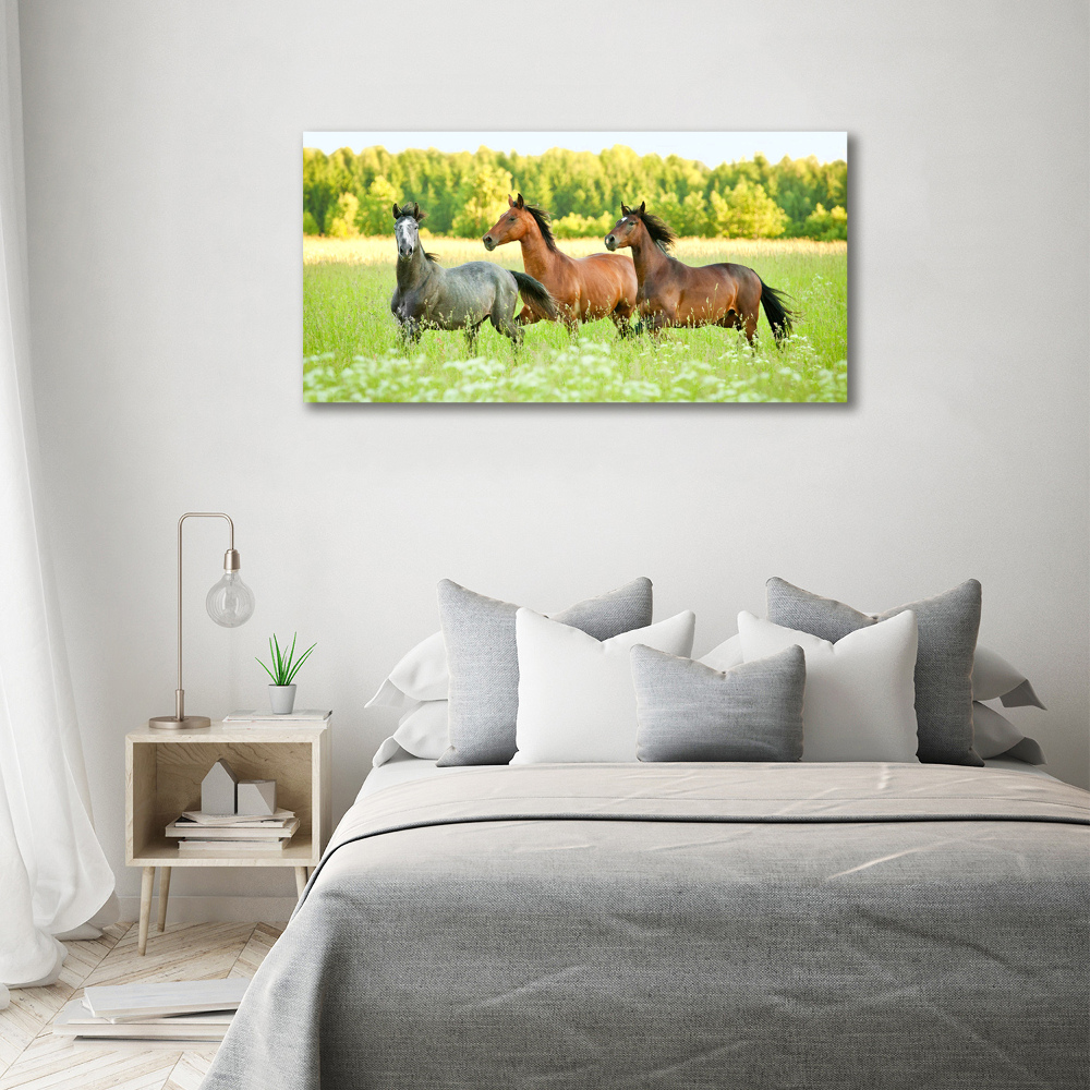 Tableau mural sur toile Chevaux au galop