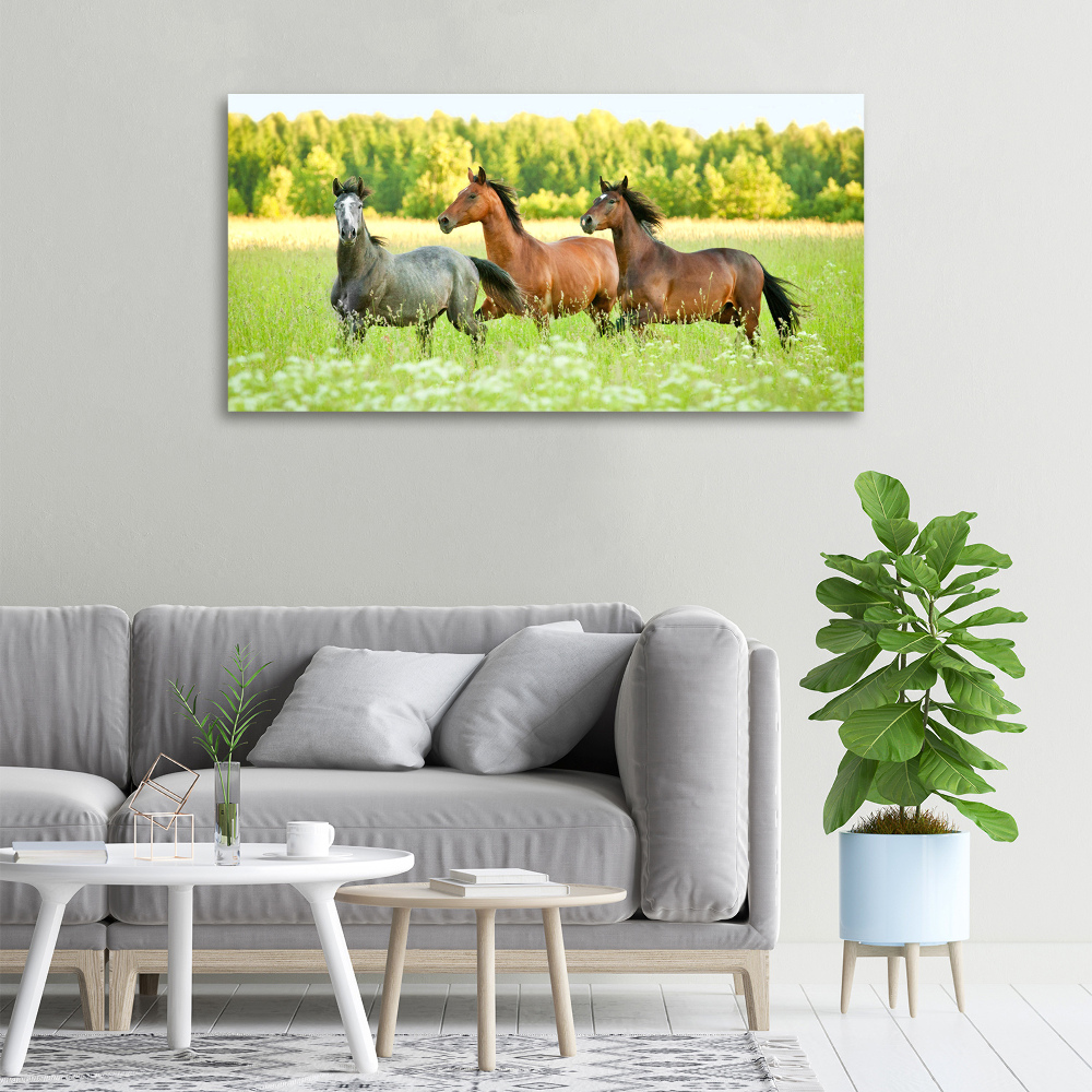 Tableau mural sur toile Chevaux au galop