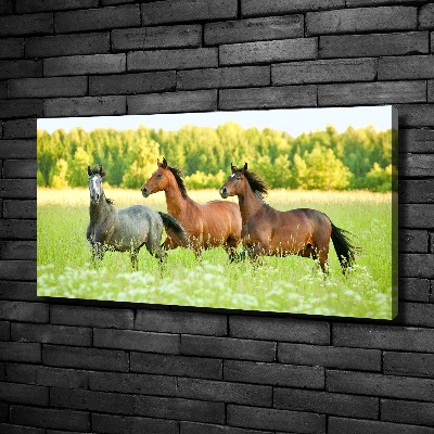 Tableau mural sur toile Chevaux au galop