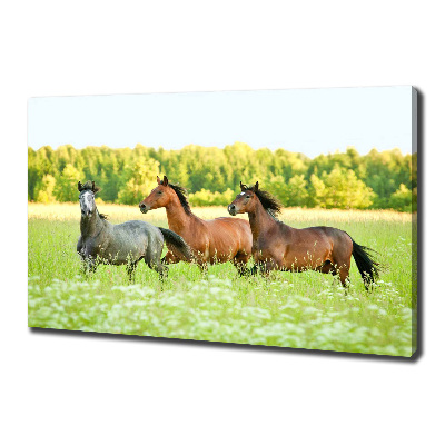 Tableau mural sur toile Chevaux au galop