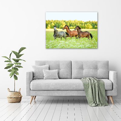 Tableau mural sur toile Chevaux au galop