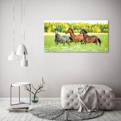 Tableau mural sur toile Chevaux au galop