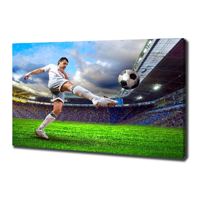 Tableau sur toile Footballeur dans le stade