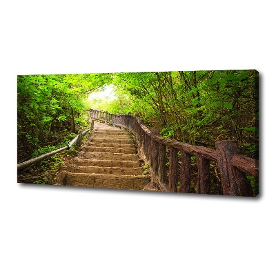 Tableau sur toile Escalier dans la forêt