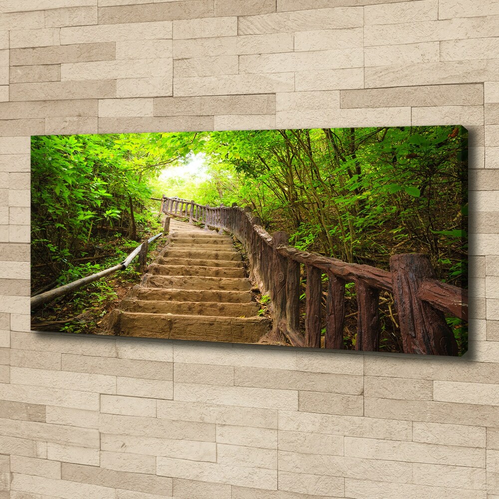 Tableau sur toile Escalier dans la forêt