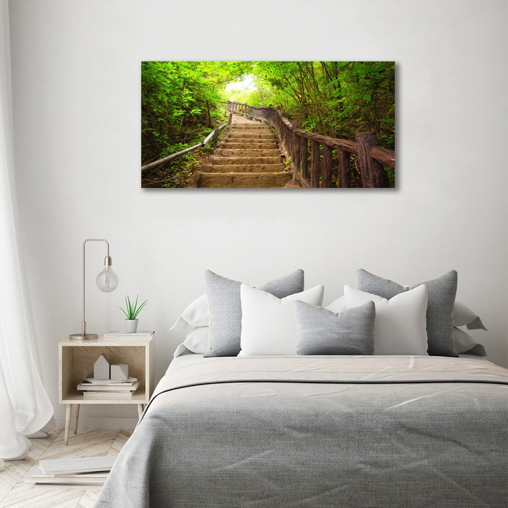 Tableau sur toile Escalier dans la forêt