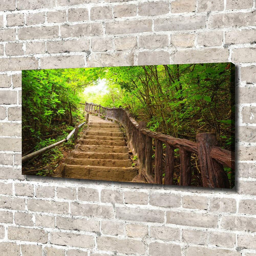 Tableau sur toile Escalier dans la forêt