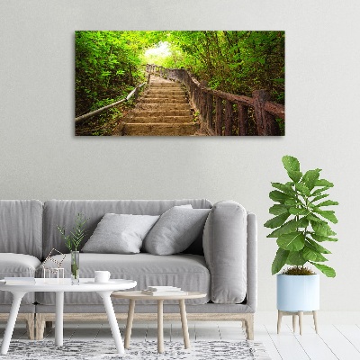 Tableau sur toile Escalier dans la forêt