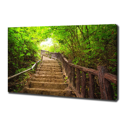 Tableau sur toile Escalier dans la forêt